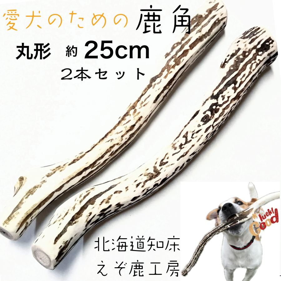 鹿の角 犬 25cm 丸型 2本セット 鹿角 長持ち 国産 北海道 天然 エゾ鹿 角 おやつ おもちゃ 玩具 ガム デンタルケア 歯磨き 中型犬 大型犬 愛犬 スティック 骨 ボーン えぞ鹿 歯周病 Kanal9tv Com