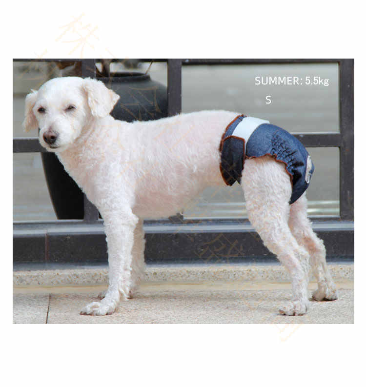 市場 メス犬用おむつ メス犬用生理パンツ 生理パンツ ペットウェア 犬用 洗濯可能 雌犬生理用品 犬マナーパンツ