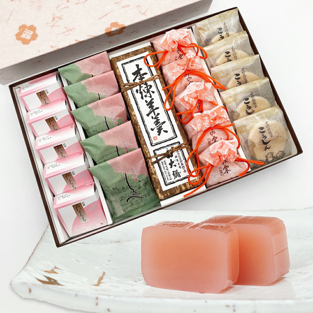 和菓子 みなくち5個しるべ5個本煉羊羹1棹珠の栗5個こうしん5個 お供え 志 法事 お彼岸 初節句 詰め合わせ ようかん 本煉り羊羹 栗 お菓子 ギフト スイーツ ご挨拶 帰省 お土産 誕生日 プレゼント お返し 内祝 お祝い お礼 滋賀 琵琶湖 進物 即日発送 老舗 高級 大彌