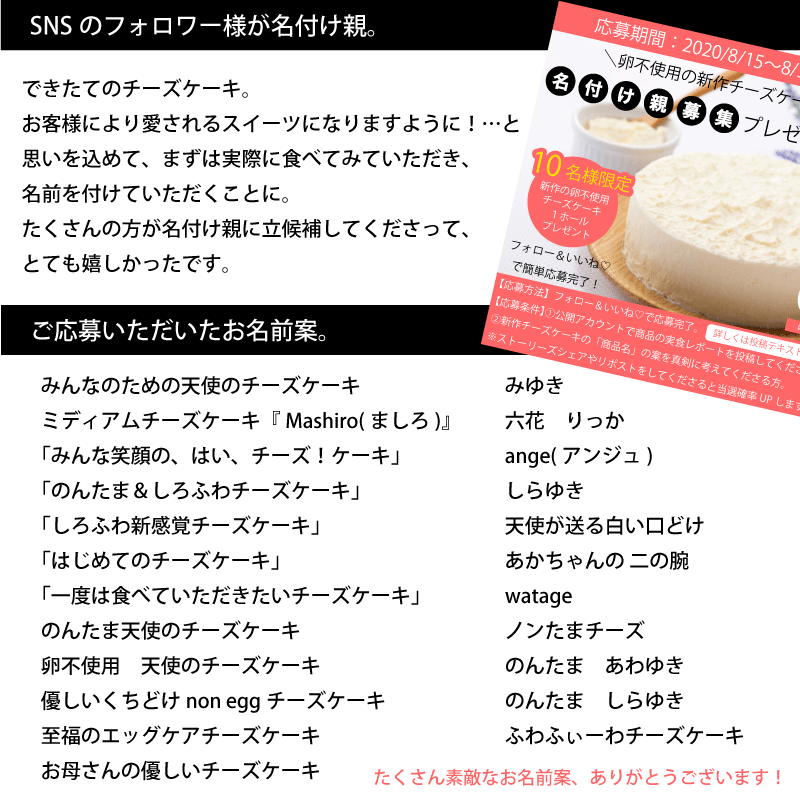楽天市場 ミディアムチーズケーキ Watage 卵アレルギー対応 チーズケーキ アレルギー アレルギー対応 ケーキ アレルギー対応食品 卵 不使用 菓子 卵なし アレルギー対応ケーキ 卵アレルギー Egg Free スイーツ 誕生日 プレゼント 贈り物 ギフト わたしのお菓子箱