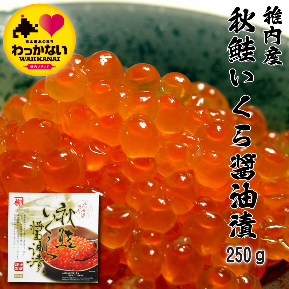 楽天市場】浴用濃縮 稚内温泉 入浴剤 500ml 1本入 約20倍濃縮 お肌