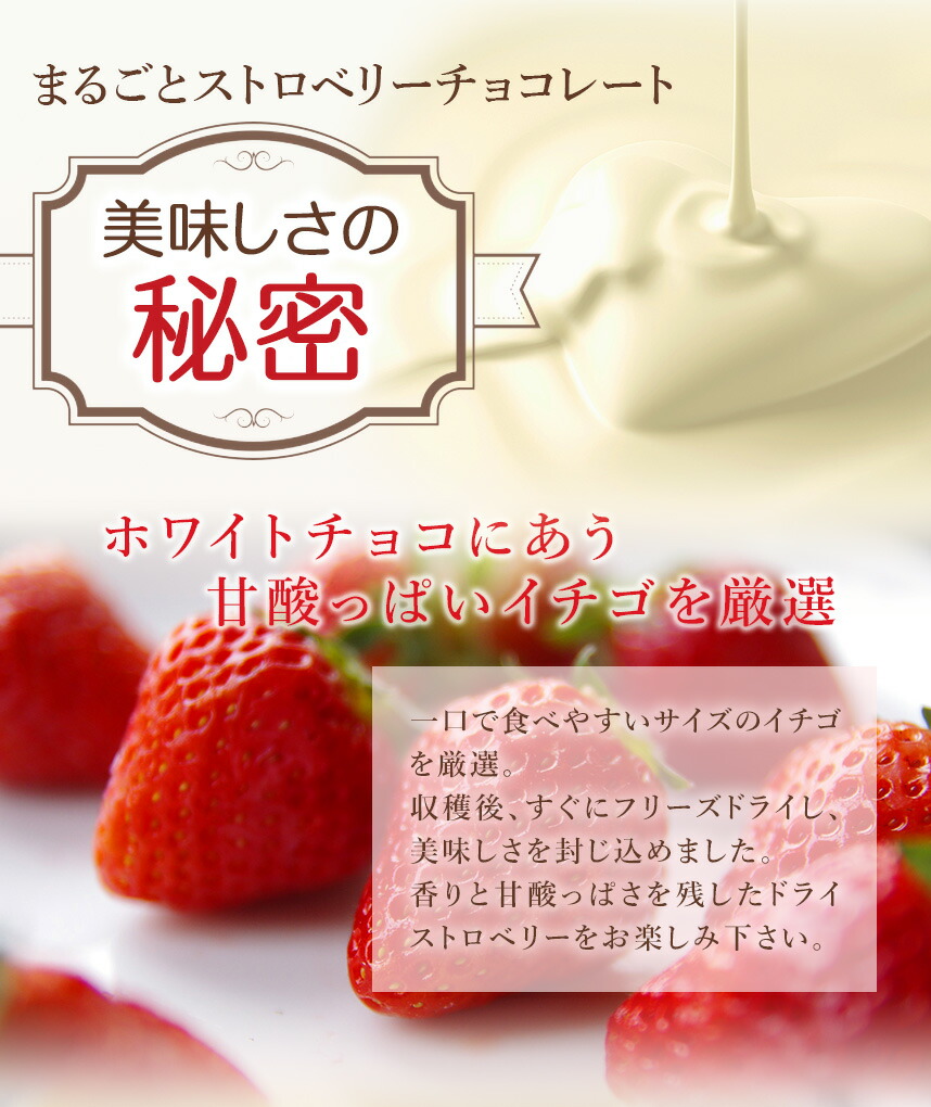 市場 チョコレート おやつ いちごチョコレート いちごトリュフ 300g 大量 保冷 お菓子 義理 個包装 いちごチョコ 駄菓子 おかし