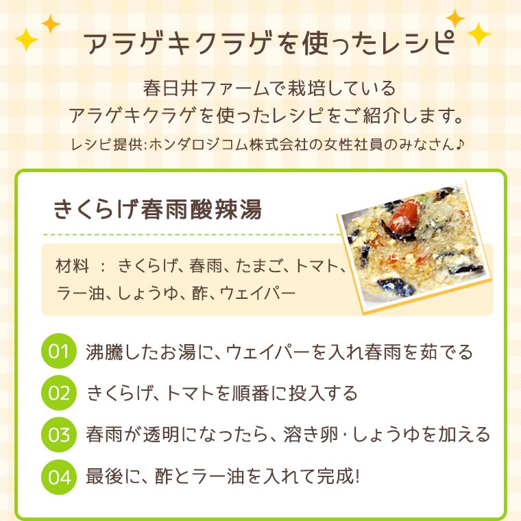 美しい 乾燥きくらげホール３０ｇ １５袋 きくらげ キクラゲ 乾燥きくらげ 木耳 きくらげ ホール 国産 愛知県産 国産きくらげ 国産木耳 春日井ファーム きくらげ販売店w 保証書付 Www Lapressemagazine Fr