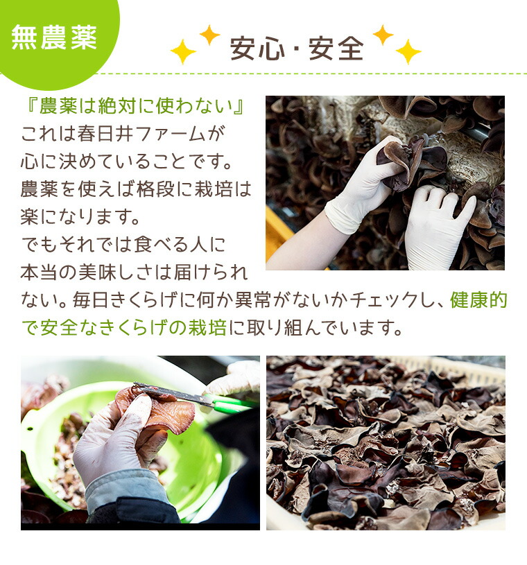【値下げしました!!】全国送料無料【国産無農薬】愛知県産乾燥きくらげホール・スライスのセット!!※今だけ新商品『きくらげ王子のおみそ汁』1個プレゼント!!