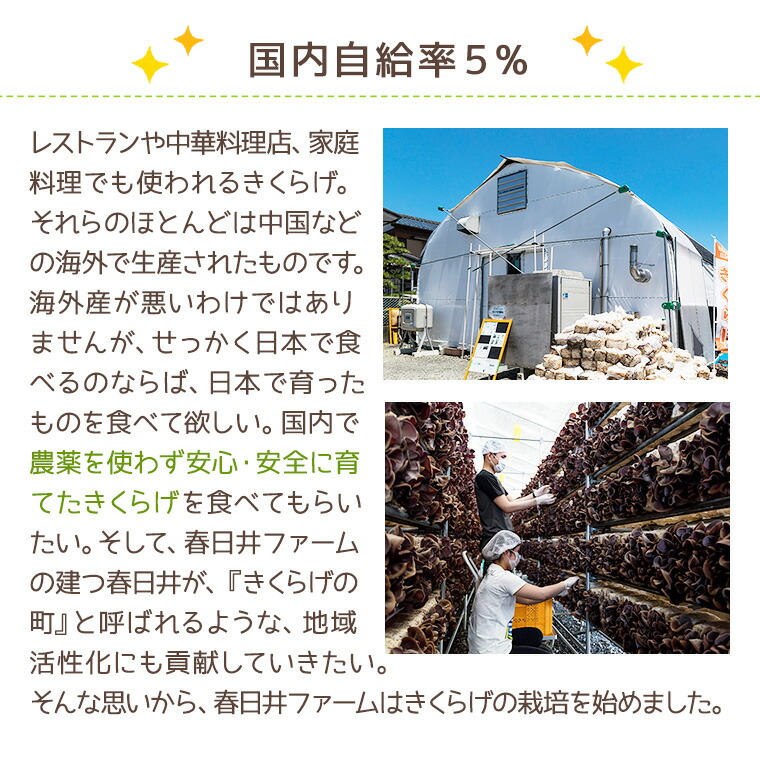 【値下げしました!!】全国送料無料【国産無農薬】愛知県産乾燥きくらげホール・スライスのセット!!※今だけ新商品『きくらげ王子のおみそ汁』1個プレゼント!!