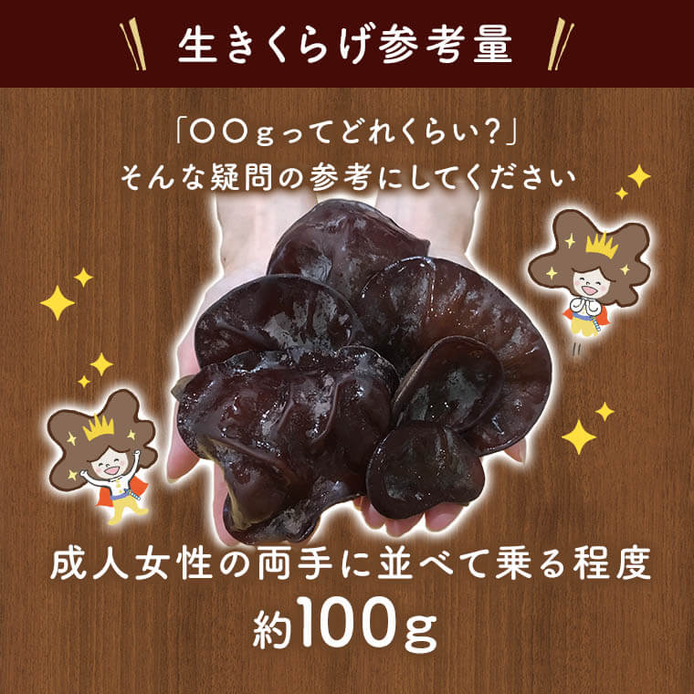 予約販売品 国産きくらげ10kg 500g 袋 約100kgの生キクラゲを使用 乾燥 干し 木耳 キクラゲ 業務用 乾燥 国内自給率生産1 以下というまさに幻の国産品 安心 安全な美味しい国産ハウス栽培きくらげ コリコリ美味しいキクラゲ 決算特価 送料