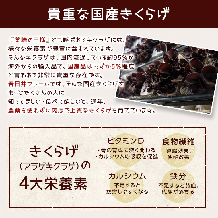 【赤・黒パンダこんにゃく選べる6個】【送料無料】おつまみ無農薬国産愛知県産キクラゲきくらげ木耳国産きくらげ国産木耳乾燥こんにゃくコンニャクパンダお酒おかず手軽簡単酒のつまみ低カロリーダイエットビール味付き