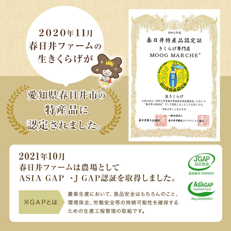 【業務用】乾燥きくらげスライス業務用1kgきのこ乾燥きのこきくらげ国産キクラゲ乾燥きくらげ木耳中華食材食材セット国産きくらげ無農薬愛知県美味しい乾物国産木耳干しきくらげまとめ買い干しキクラゲおいしい炒め物中華料理たっぷり超大容量!
