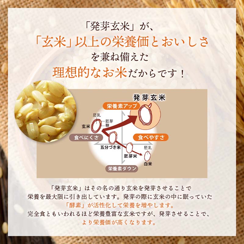 冷凍冷蔵庫で解凍タイプ米を3日寝かせたモチモチの発芽酵素玄米ごはん10パック(30食:375g×108パック)【発芽玄米酵素玄米発酵玄米玄米ごはんおいしい玄米美味しい玄米残留農薬ゼロ送料無料】