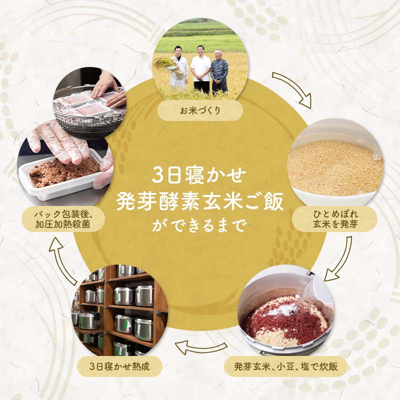 冷凍冷蔵庫で解凍タイプ米を3日寝かせたモチモチの発芽酵素玄米ごはん10パック(30食:375g×108パック)【発芽玄米酵素玄米発酵玄米玄米ごはんおいしい玄米美味しい玄米残留農薬ゼロ送料無料】