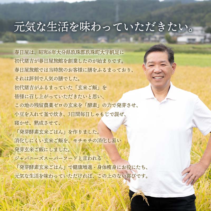 <冷蔵庫で解凍>玄米を3日寝かせたモチモチの発芽酵素玄米ごはん30食(375g×10パック)【発芽玄米酵素玄米発酵玄米寝かせ玄米玄米ごはん玄米ご飯冷凍おいしい玄米美味しい玄米備蓄米残留農薬ゼロ発芽玄米送料込み送料無料】