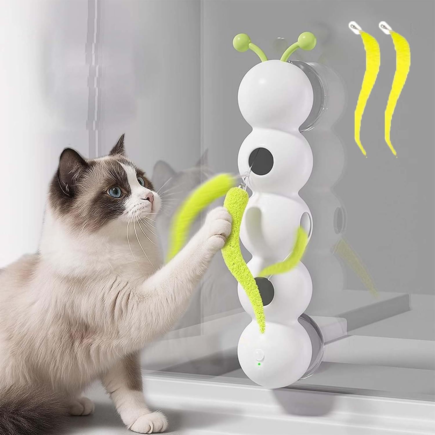 ねこじゃらし 51MEQ9+ZP8L._UF350,350_QL50_.jpg