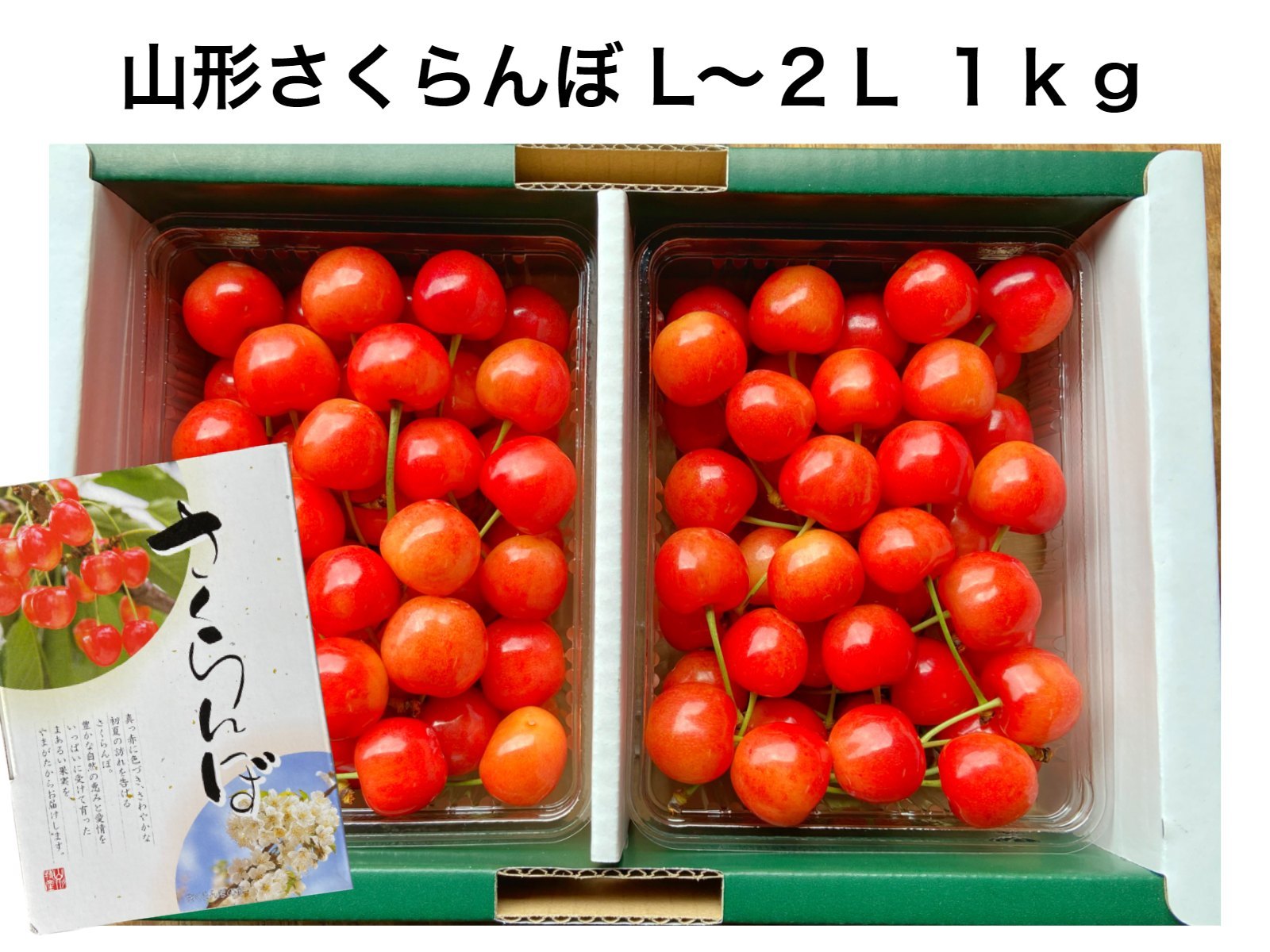 山形産 さくらんぼ 佐藤錦 L 2l 佐藤錦 さくらんぼ 天童市産 果物 フルーツ 人気 売れ筋 山形県 送料無料 Salon Raquet De