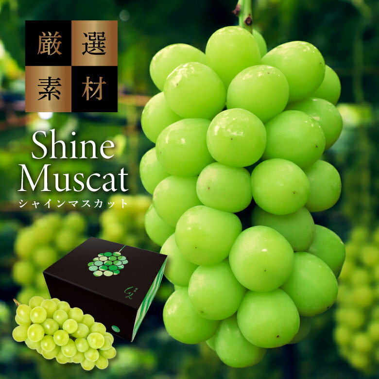 fruits-muscat-th01.jpg