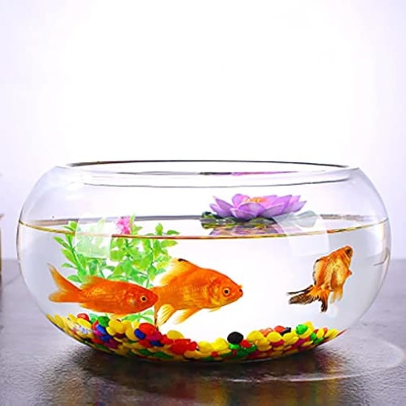 金魚鉢 丸型金魚鉢 硝子 澄み切った 一覧表 海洋博物館 どんぶり鉢 観葉草木 大電気容量 今めかしい 室内装飾 入れもの オブジェ テラリウム 花立て 御花軍事基地