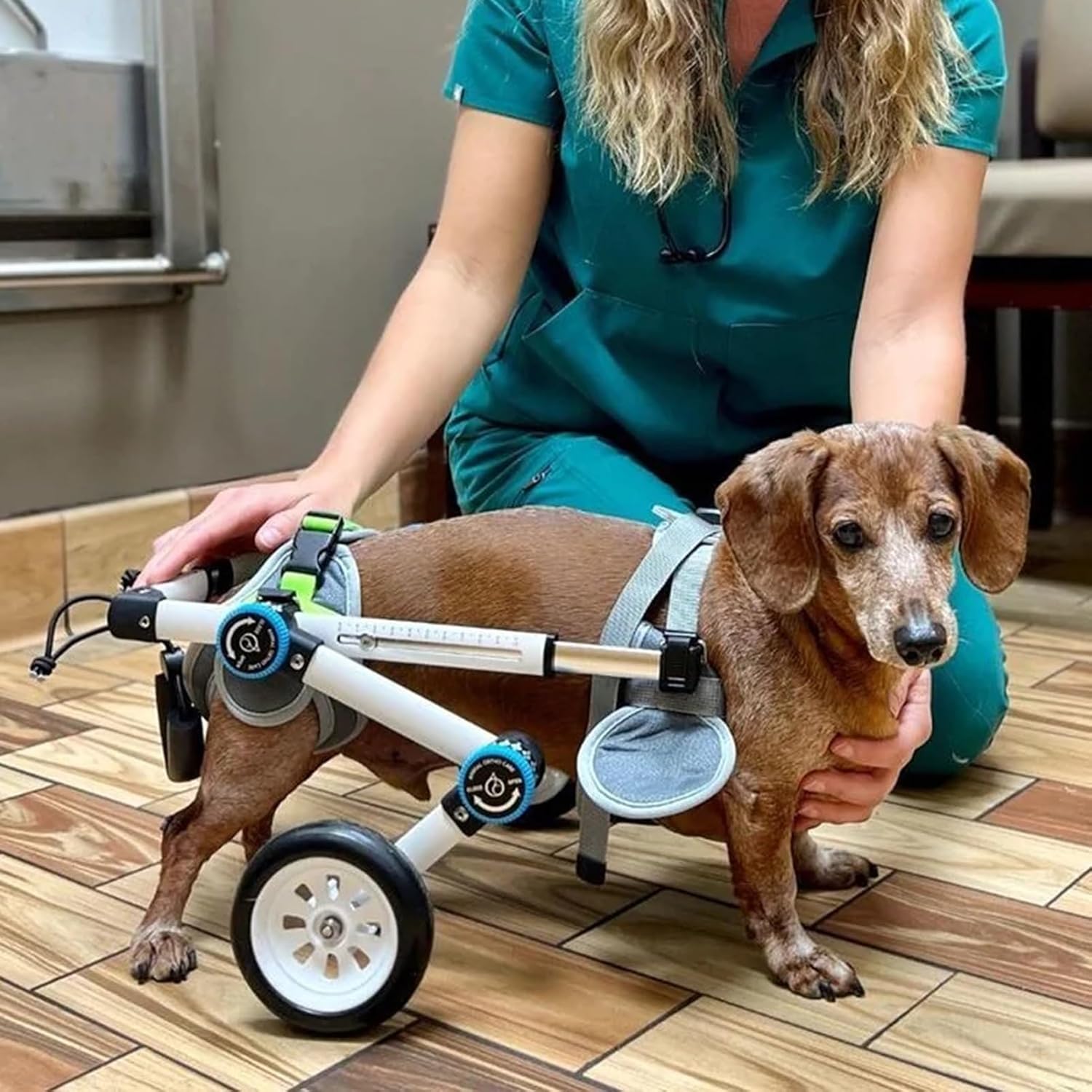 犬用車椅子 モビリティ差しつかえのある犬の脚のブレース、 うしろ脚の目的の 折りたたみ能力のあるな小さな犬車いす、 ペットリハビリテーションサポートカート - 飾り気のないに組み立てます (Size : XXXS Size