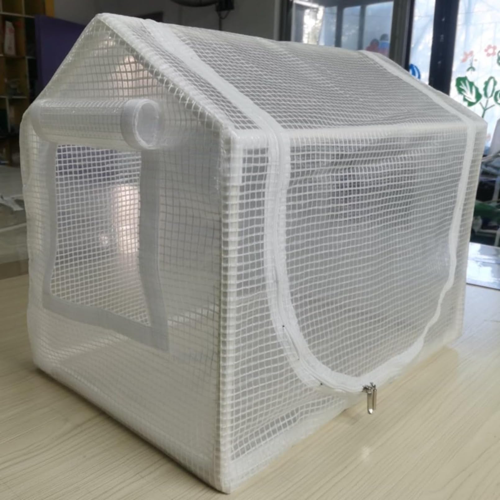 澄み切った草木生いそだつ天幕 折り畳み式 物の具不必要 庭園住み家 ファスナー開閉 ビニール植木室 飾り気の無い植木室 観葉草木 戸外繁殖 身寄り家庭菜園 植木室棚 ビニール住み家身寄り家庭菜園 ミニ植木室 庭園植木室 折りたたみ 園芸用ビニール住み家  小型 草木保温用 (PVC盛りだくさんせつ然たる,60*40*50珊)