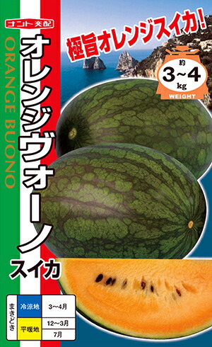 スイカ　サマーオレンジグランド 種 200粒 楽天市場】スイカ サマーオレンジグランド[種子 200粒入] : 家庭de