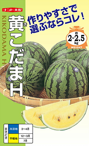 楽天市場】黄小玉スイカ 種 100粒 辻交配 果実重量1.5〜2 開花後約30日