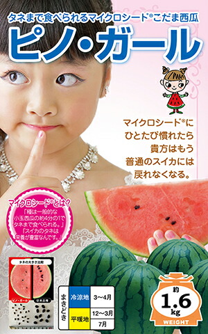 ３・埼玉県・マビっち・ピノガール ピノガール 3〜6玉入り 九州産 マツコの知らない世界でも紹介