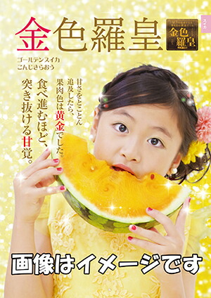 ２・千葉県・norakuro・ピノガール タネまで食べられる小玉スイカ | ピノ・ガール™