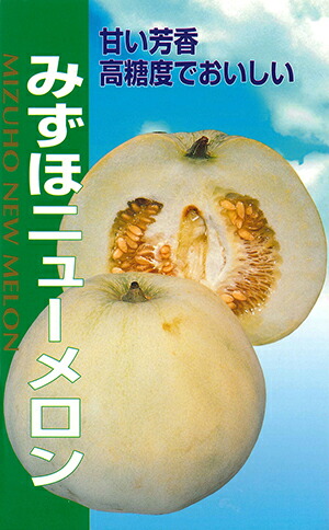 楽天市場】※新種11月以降入荷予定メロン種【 みずほニューメロン
