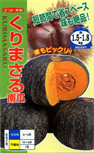 万次郎かぼちゃ　１８kg　７〜１２個　1 ≪今だけ値引き！≫大容量！万次郎かぼちゃ100サイズ入るだけ