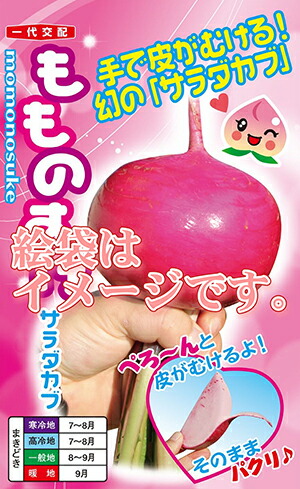 Yageさん専用　あかかぶ　もものすけ　14kg もものすけ（ももかぶ） 【業務用食材の仕入れなら八面六臂】