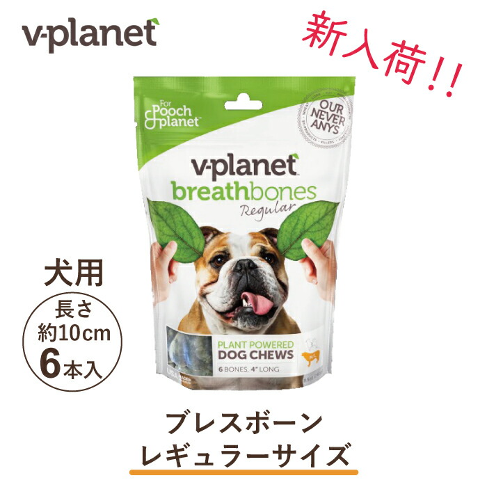 楽天市場】Vプラネット ヴィーガン ドッグフード 中・大型犬用 大粒 