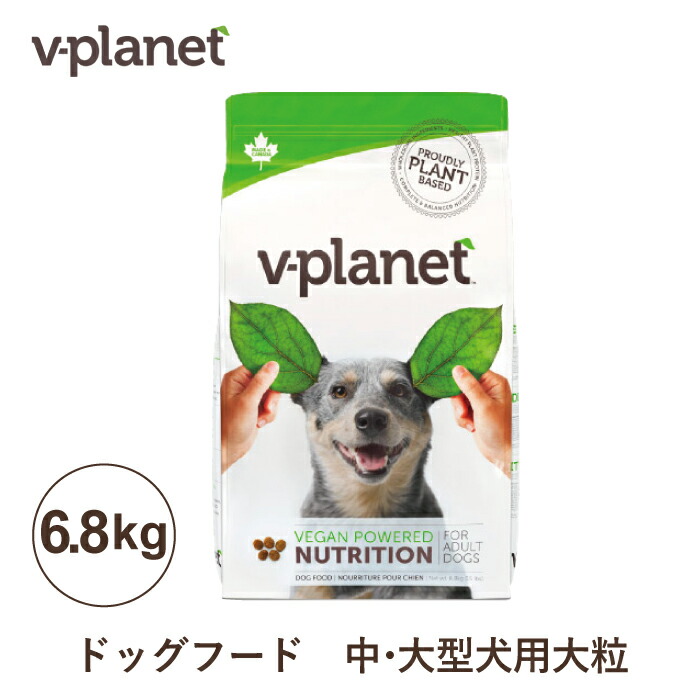 生まれながらの抗生物\