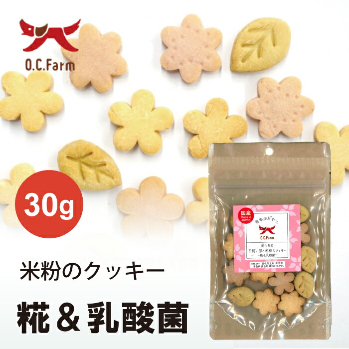 楽天市場】マイクロシンAH VF イヤーケアウオッシュ・アイケア