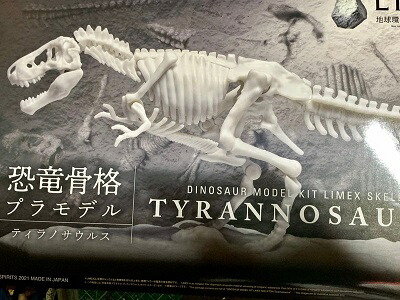 楽天市場】T-REX骨格組み立てキット : 3D・恐竜・おもちゃの