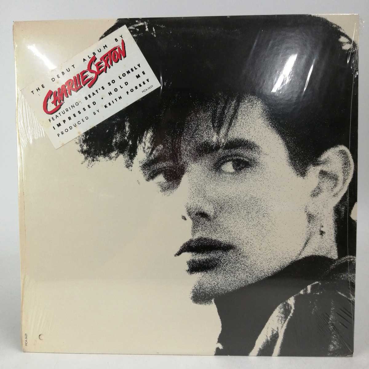 【楽天市場】【中古】LP チャーリー・セクストン pictures for pleasure MCA-5629：カウカウキング 楽天市場店