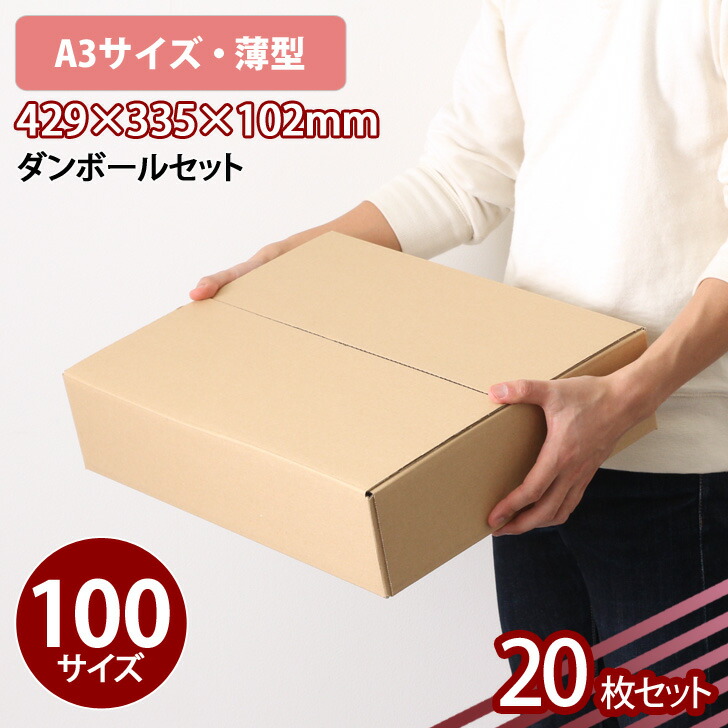 楽天市場】送料無料 宅配100サイズ ダンボール (A3サイズ 薄型) 20枚