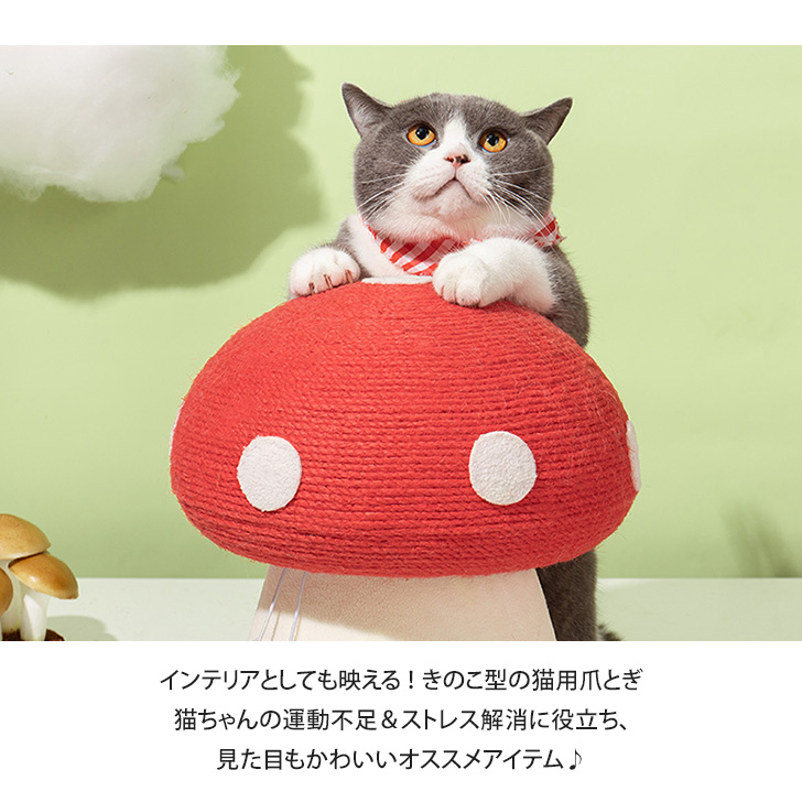 【楽天市場】送料無料 猫用 爪とぎ きのこ型 インテリア キノコ きのこ 猫 ネコ ねこ キャット ペット ペット用品 猫用品 猫グッズ