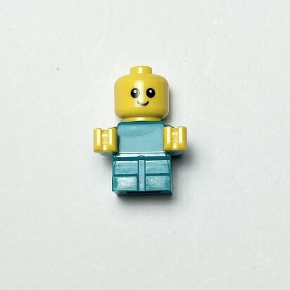 楽天市場 レゴ マインクラフト スティーブとウィザースケルトン ミニセット Lego Minecraft Steve Wither Skeleton ついばみ商店