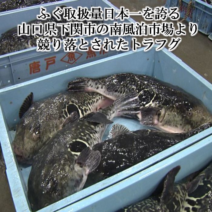 お買い得 とらふぐ刺身 19cm皿 冷蔵 いまだけ 皿分のお値段で 皿セット フグ刺しセット 1人用 冷蔵 ふぐ刺し身 ひとりじめ 大好評につき継続中 送料無料 プレゼント おうち贅沢 お取り寄せグルメ 下関唐戸市場直送 河上商店 Kanal9tv Com