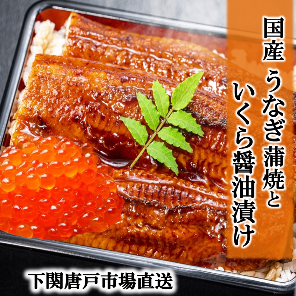 【母の日ギフト】うなぎ 国産 鰻 ウナギ 鰻の蒲焼 160g いくら醤油漬け セット うなぎ蒲焼き 鹿児島産 うなぎ蒲焼 食品 ギフト 贈り物 記念日 お誕生日祝い 御礼 お祝 プレゼント 贈答品 送料無料