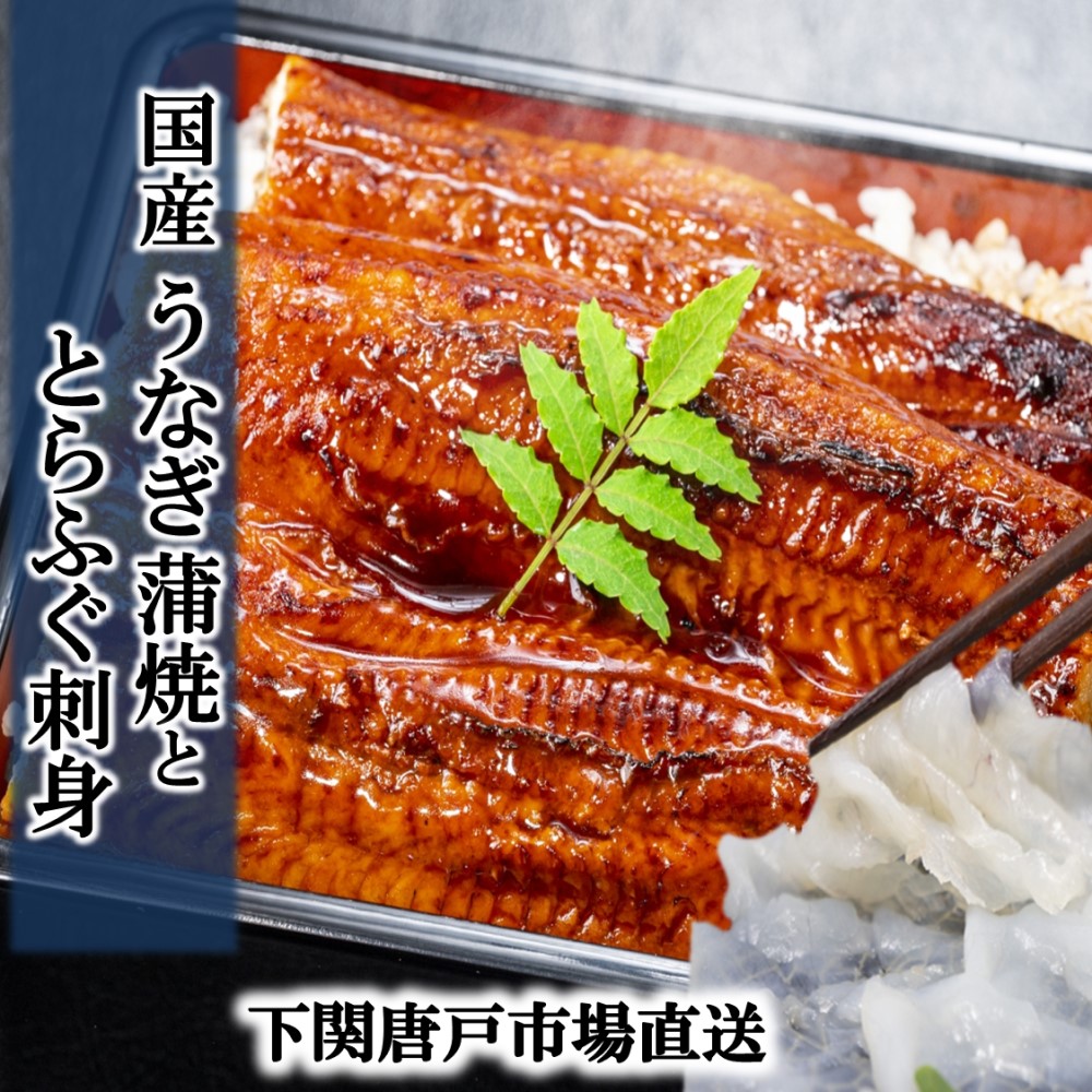 【父の日 ギフト】うなぎ 国産 鰻 ウナギ 蒲焼き 蒲焼 鰻の蒲焼 160g 前後 とらふぐ てっさ ふぐ刺し セット fugu うなぎ蒲焼き unagi 土用の丑 ギフト 父の日 お誕生日祝 お祝い 御礼 プレゼント 贈答品 グルメ 送料無料