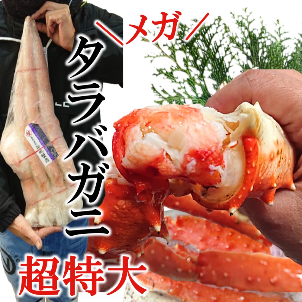 メガ 超特大 タラバガニ 2.5kg 数量限定 極太 たらばがに足 ボイル カニ かに 蟹 たらばがに 茹で 脚 たらば蟹 焼きガニ BBQ カニ鍋 かにちり 築地蟹商 海鮮グルメ 送料無料 贈答 ギフト お誕生日祝 御礼 御祝 父の日｜海鮮KARATO 河上商店 店