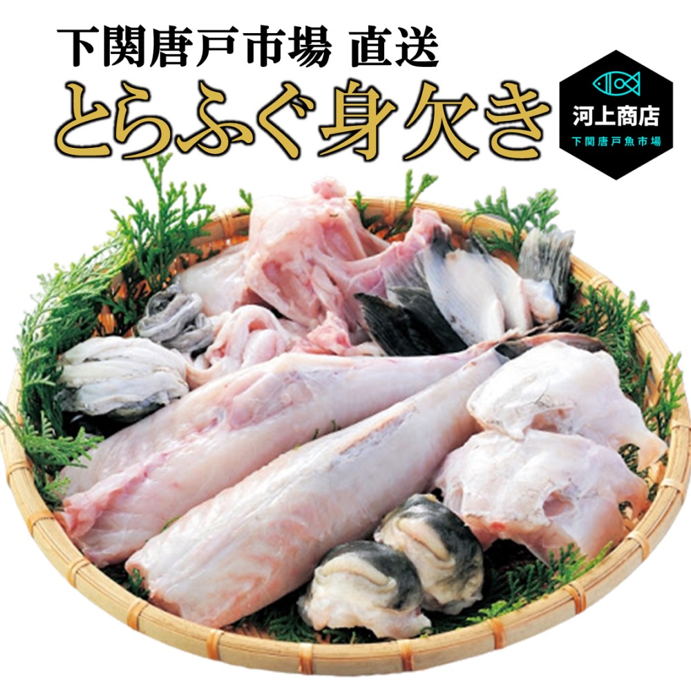 【下関とらふぐ】ふぐ 取り寄せ 下関 トラフグ 冷蔵 とらふぐ 身欠き 1本 2本 3本 フグ fugu 河豚 ふぐ刺し ふぐ鍋 ふぐちり鍋 てっちり ふぐ唐揚げ ふぐ料理 刺身 海鮮 てっさ 鍋 みがき 身欠きふぐ 送料無料 御祝 贈答 パーティー