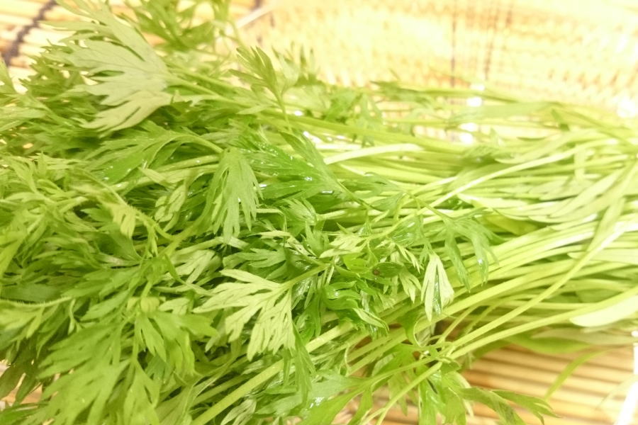 楽天市場】無農薬 EM農法 人参の葉 【葉っぱのみ】（にんじん）1袋3