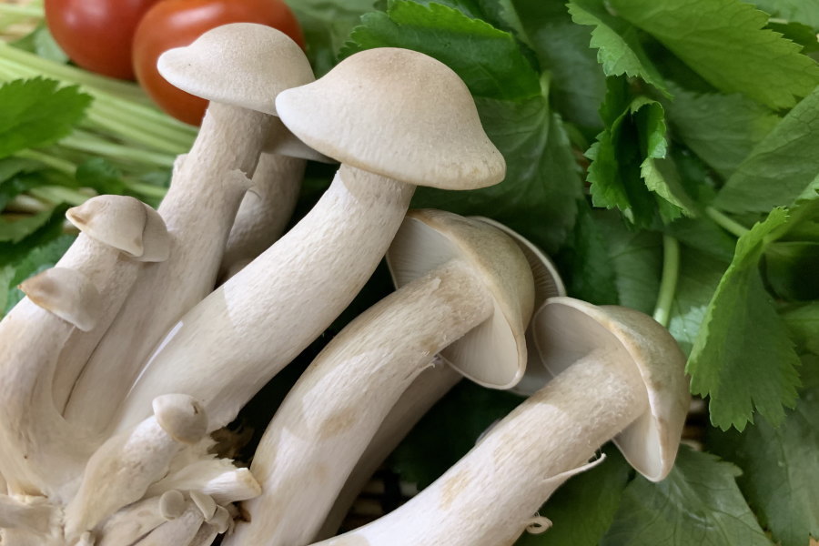 楽天市場】【ブランド京野菜】京都府産 大黒本しめじ （1pk） : 京