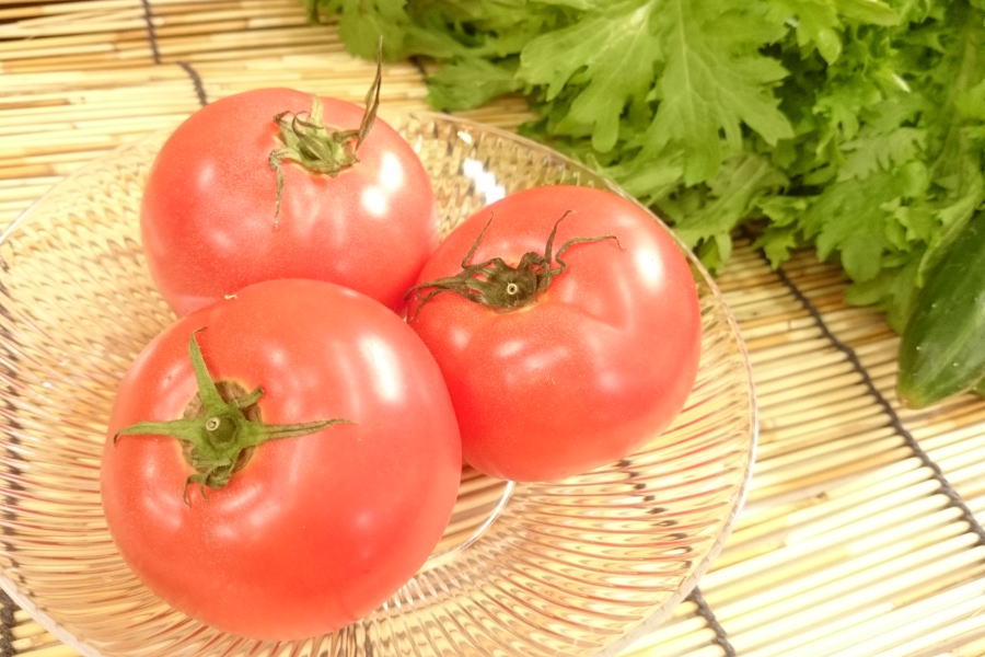 新生活 福岡県産他 桃太郎トマト Lサイズ 86％以上節約 2個