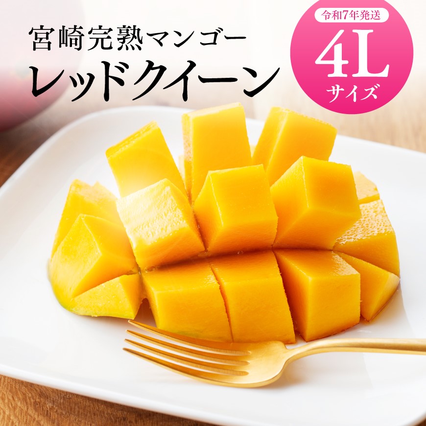 【令和7年発送】宮崎県産完熟マンゴー「レッドクイーン」4L