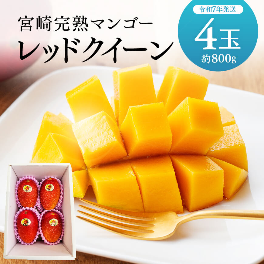 【令和7年発送】宮崎県産完熟マンゴー 「レッドクイーン」4玉(800g)