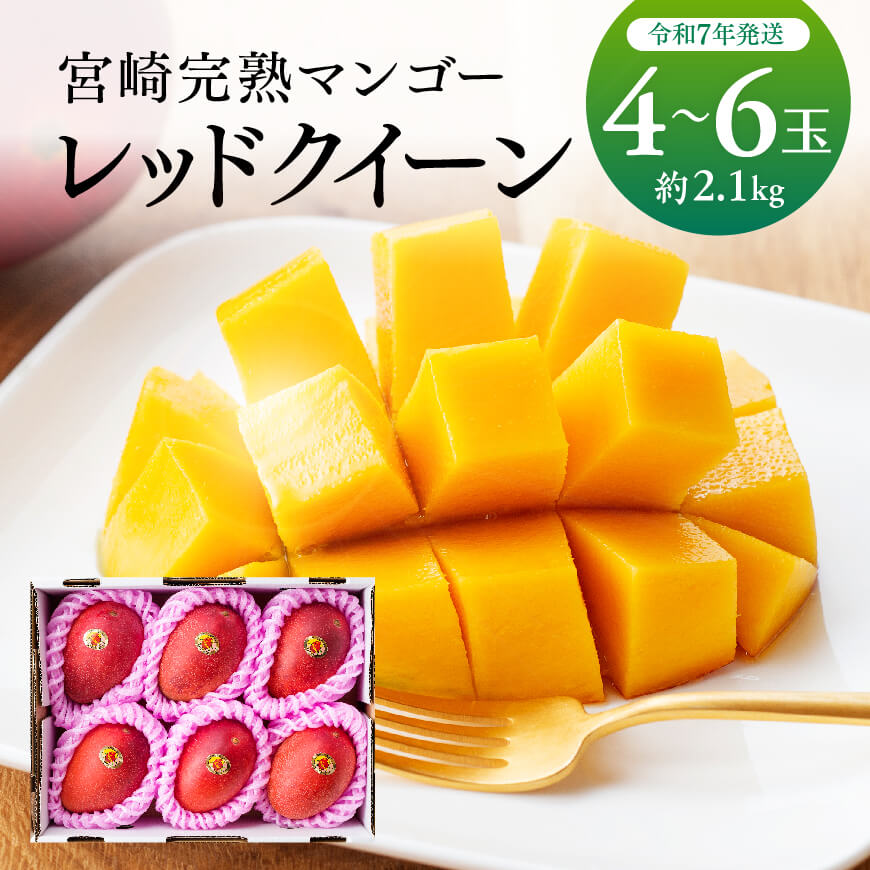 【令和7年発送】宮崎県産完熟マンゴー 「レッドクイーン」4～6玉