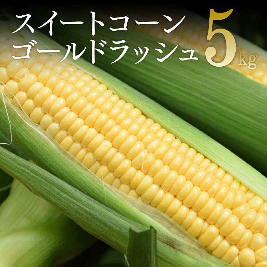 【令和7年発送】朝どれ！守部さんちのゴールドラッシュ5kg スイートコーン ゴールドラッシュ90 とうもろこし コーン トウモロコシ 国産 宮崎県 宮崎 川南町 川南 産地直送 送料無料