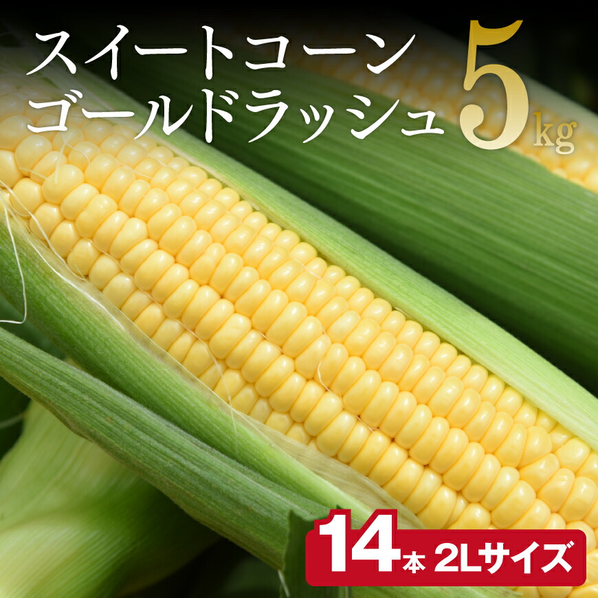 【令和7年発送】朝どれ！守部さんちのゴールドラッシュ 2L×14本 5kg スイートコーン とうもろこし ゴールドラッシュ 90 コーン トウモロコシ 国産 宮崎県 宮崎 川南町 川南 産地直送 送料無料