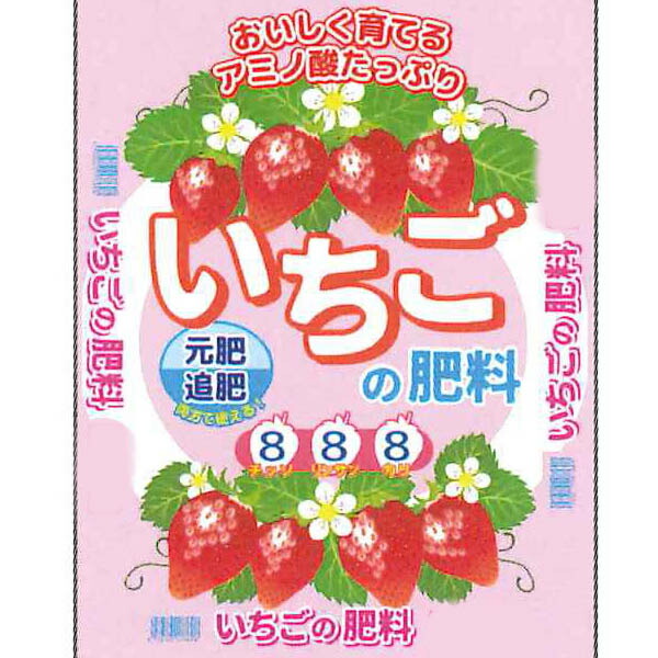 苺畑さん専用 とくしまオーガニックいちご・中粒(18粒 さちのか) 1箱